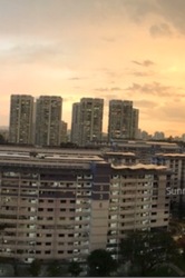 Blk 539 Ang Mo Kio Avenue 10 (Ang Mo Kio), HDB 5 Rooms #220281621